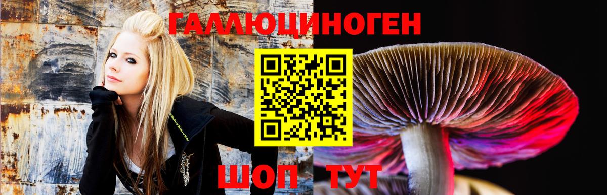 Батайск  Галлюциногенные грибы Psilocybine cubensis  Вход с VPN 